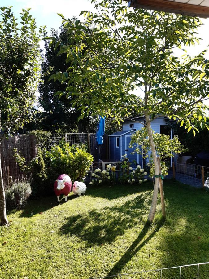 Kitty"S Chalet Modern En Toch Knus Warmond Bagian luar foto
